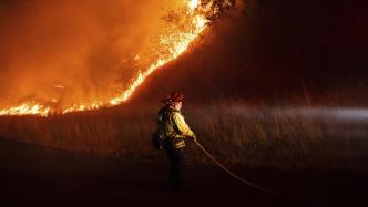 直击｜美国加州野火致上千人疏散，仅8%火势得到控制