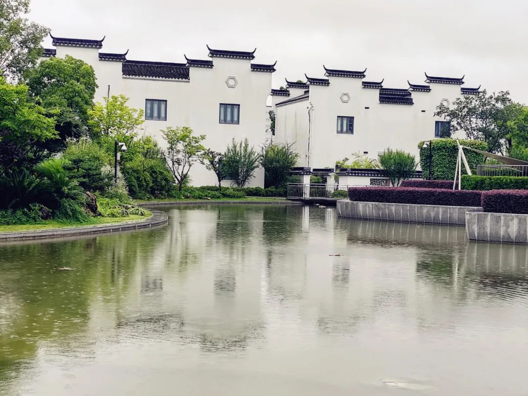 梅雨时节的中新泾公园:徽州风貌仿似水墨画,在雨中展开