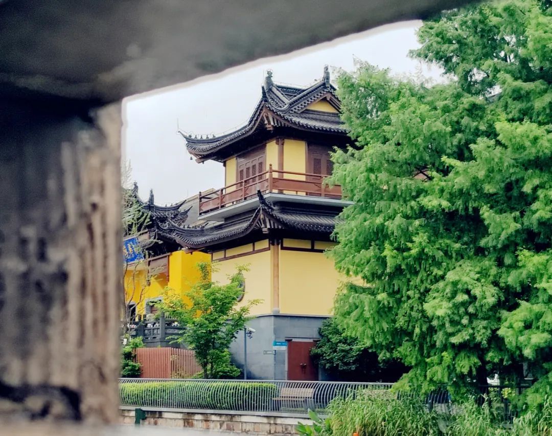 梅雨时节的中新泾公园：徽州风貌仿似水墨画，在雨中展开