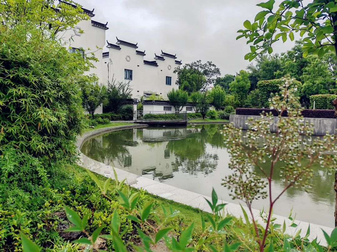 梅雨时节的中新泾公园：徽州风貌仿似水墨画，在雨中展开