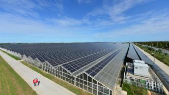 报告：太阳能可提供今年夏至全球中午用电高峰需求的20%