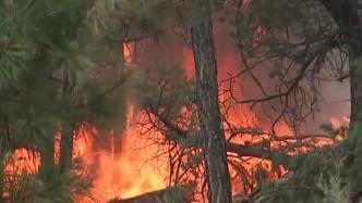 美国新墨西哥州林火持续燃烧数天，仍未受控