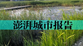 上海鹦鹉洲湿地的十年：侵蚀海岸如何做好生态修复｜底线城市