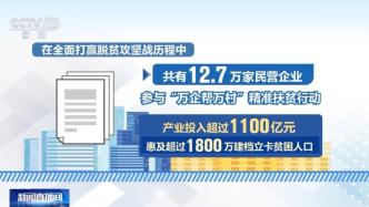 2012年至2023年我国民营企业进出口额年均增长11.1%