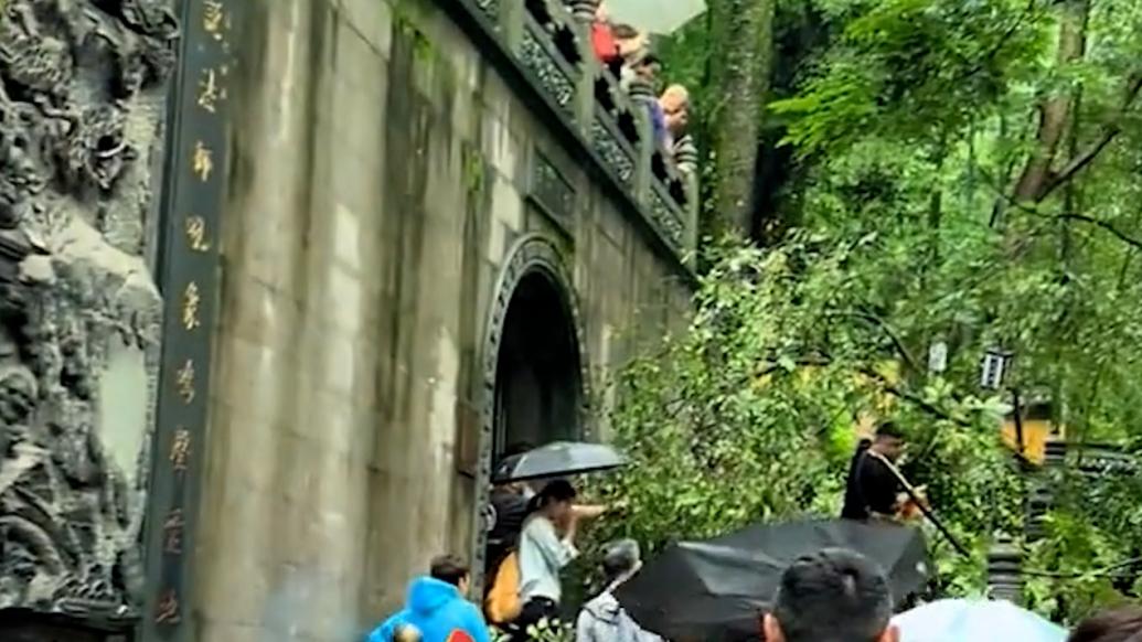 杭州灵隐寺一株古树树枝折断砸伤一名游客，致轻微骨折住院观察