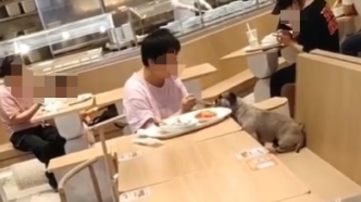 上海一餐厅内女子与狗共用筷子吃饭？涉事餐企称已废弃该餐具