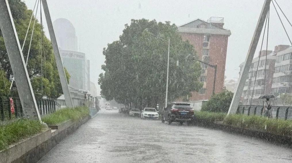 今晨上海三地“包揽”全国降水排行榜前三，徐家汇站一天完成梅雨期一半KPI