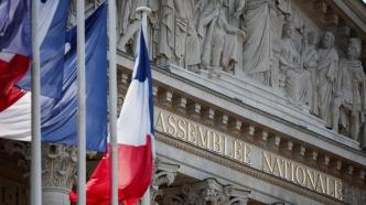 民调显示法国极右翼政党领跑国民议会选举首轮投票