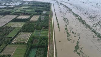 直播丨水位超警，来水不减！洞庭湖处于防汛高压状态