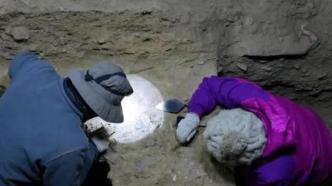 新研究揭示青藏高原古人类丹尼索瓦人的生存策略