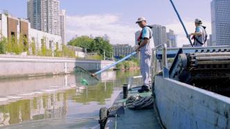 烈日“烤”验｜“热辣滚烫”之下，他们荡着船在上海苏州河捞垃圾