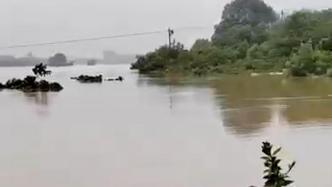 湖南岳阳县毛田镇一工作人员防汛时被水冲走失联，当地仍在搜救