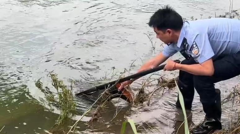 以为有人溺水村民报警，民警打捞上岸发现是“雨裤”