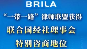 “一带一路”律师联盟获联合国经济及社会理事会特别咨商地位