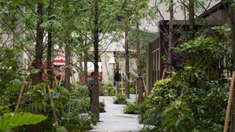 “花园”遇见“都市森林”，上生·新所拓展文化新空间