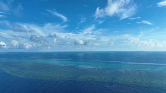 黄岩岛生态系统生机勃勃：珊瑚琳琅满目，物种自由栖息