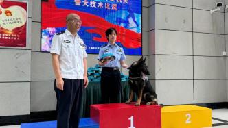 上海警犬大比武，七歲牧羊犬“烈火”獲搜捕科目冠軍