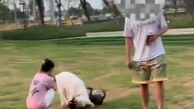 男子遛狗不拴繩致犬只追逐小孩,已被警方處罰