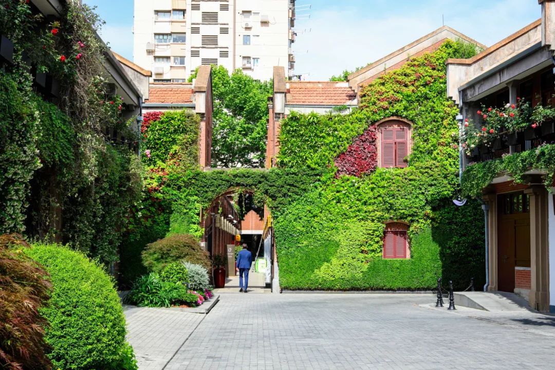 打造城市街区花园会客厅，来上海徐汇这里体验“转角遇见美”_澎湃上海_澎湃新闻-The Paper
