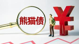 圓桌｜如何構建更健康的熊貓債發行市場？