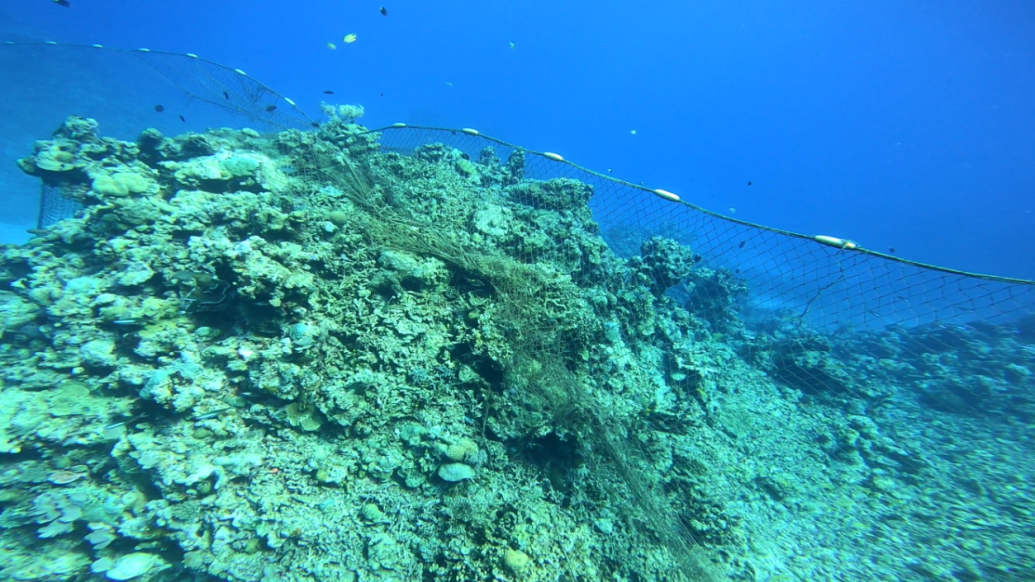 锈蚀舰“坐滩”、氰化钠毒鱼，菲律宾如何破坏南海生态环境