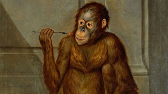 画作中的神秘与想象：欧洲的“猿猴拟人”艺术