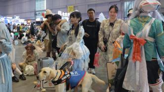 和导盲犬一起逛漫展是何体验？听听这位视障女孩怎么说