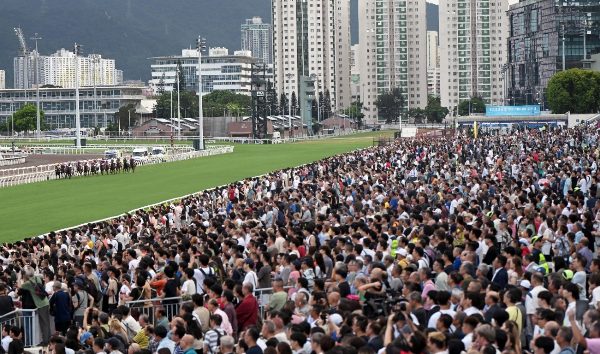 香港赛马会正版图片