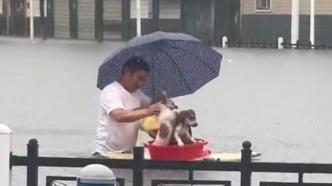 换个方式遛狗，男子暴雨天泡在水里给小狗们建了“一条船”