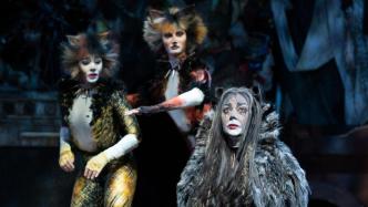 国家大剧院引进伦敦西区音乐剧《猫》，11月在京连演8场
