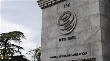 世贸组织举行第九次对中国贸易政策审议