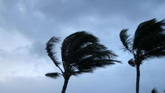 台风派比安已加强为强热带风暴级，将于21日下半夜登陆