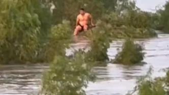游泳遇河道涨水，男子从上游漂下来爬上河中大树求救