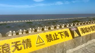 直播丨當游客涌向上海網紅海灘：想趕海，卻下不了海