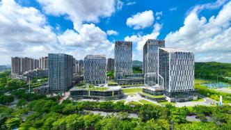 新城市志丨营商环境连续5年第一，广州开发区凭什么？