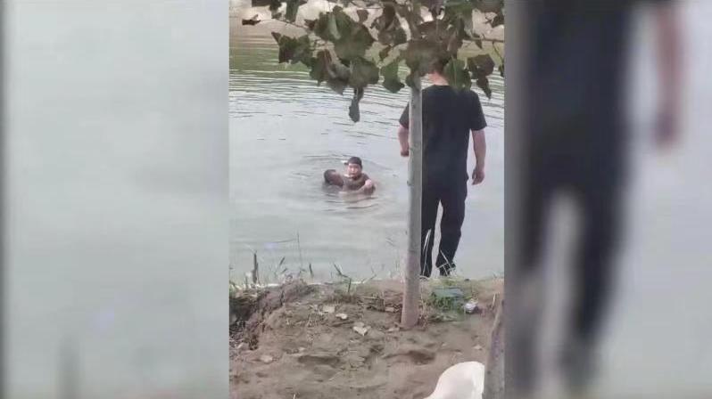 8岁男孩不慎落水，热心村民飞身跳河救人