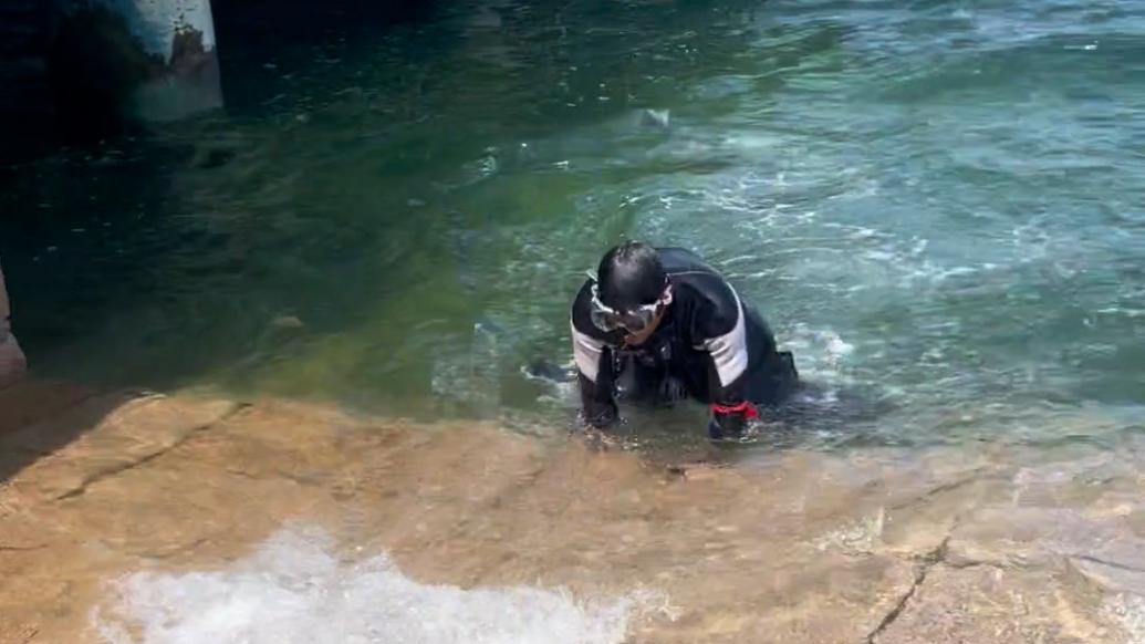 游客手機掉進海里，大四男生一個猛子扎進水幫撈回