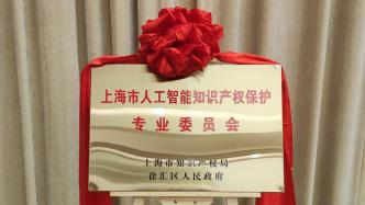 上海市人工智能知识产权保护专业委员会成立