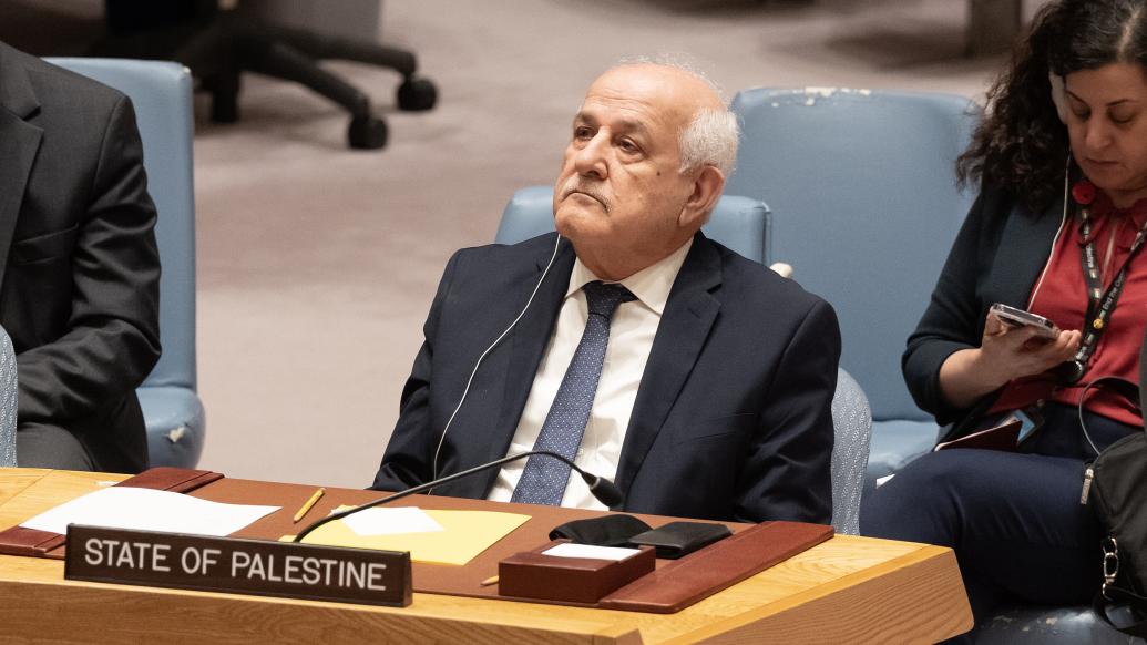 巴勒斯坦常驻联合国观察员发问：到底是谁在阻止停火？