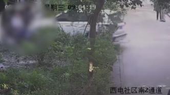 老人持刀上門遭精神病人棍擊，兒子開車沖撞后父親身亡，二審將開庭