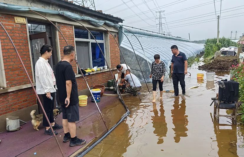 中国农科院蔬菜产业专家团在沈阳开展水涝灾害应急服务