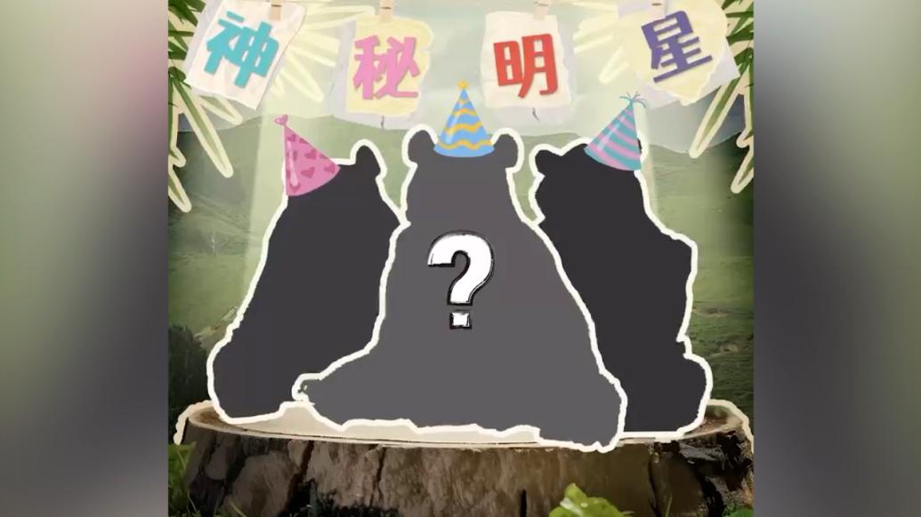 動物說唱為熊貓三胞胎慶生好歡樂