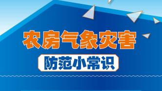 農(nóng)房氣象災(zāi)害怎么防？住建部組織行業(yè)專家發(fā)布防災(zāi)科普