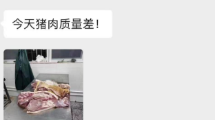 网友举报重庆一公司给学校配送问题猪肉，秀山教委：开展调查