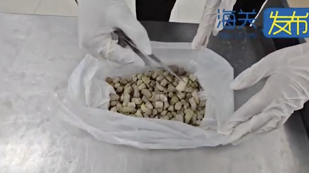 海關查獲雪雞糞便一袋,旅客稱計劃帶回國內做治病“偏方”