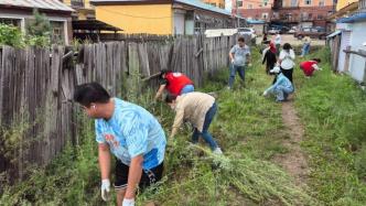 內蒙古多地開展清除蒿草行動：一地宣布每公斤蒿草可兌1元獎勵