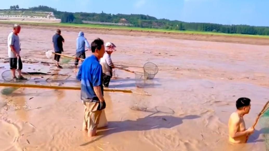 黃河小浪底排沙現(xiàn)流魚:有沿岸群眾撈魚,當?shù)丶訌姾拥姥膊?/></span></div><div><h2 class=