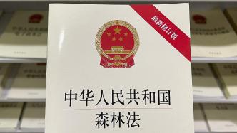 浙江丽水一镇政府修建森林防火蓄水池未完成审批手续，被罚款