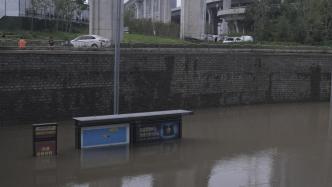 氣候行動｜韌性城市建設⑤：亟待開展城市生命通道建設