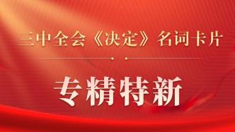 三中全会《决定》名词卡片天天学：专精特新